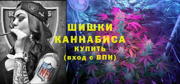 твердый Богородск