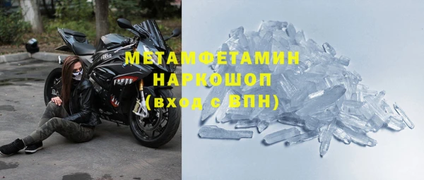 гидра Богданович