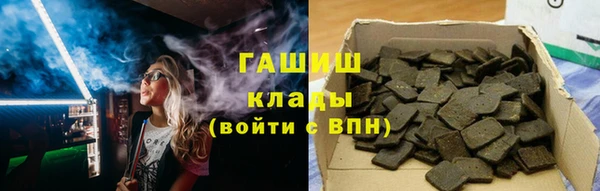 гидра Богданович