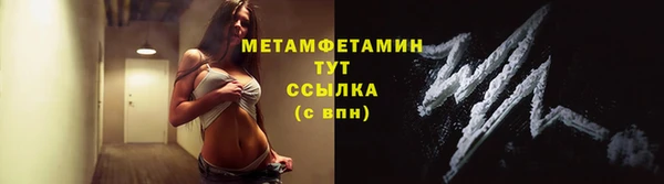 гидра Богданович