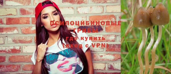 гидра Богданович