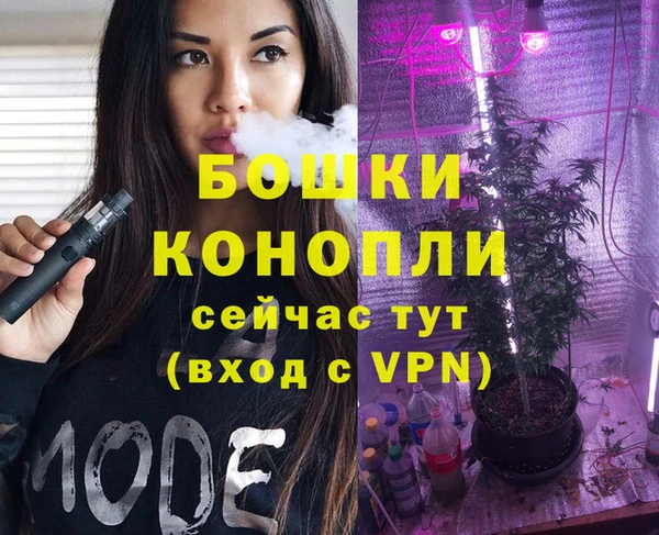 гидра Богданович