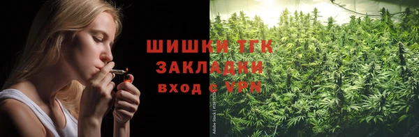 твердый Богородск