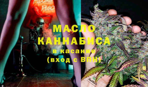 гидра Богданович